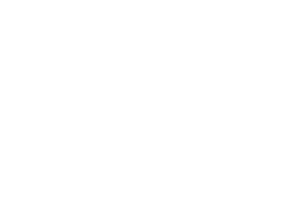 minority owned